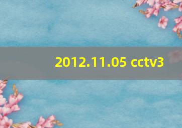 2012.11.05 cctv3